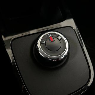 DACIA Spring usata, con Volante multifunzione