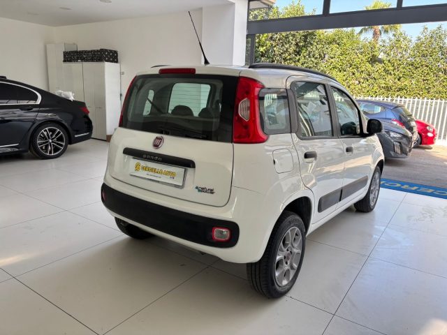 FIAT Panda usata, con Fendinebbia
