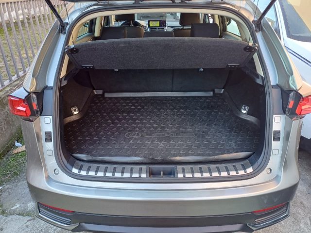 LEXUS NX 300 usata, con Controllo elettronico della corsia