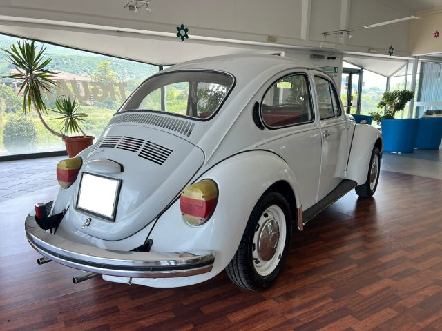 VOLKSWAGEN Maggiolone usata 5