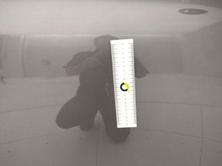 FIAT 500 usata 26