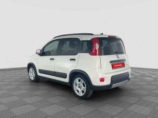 FIAT Panda usata 2