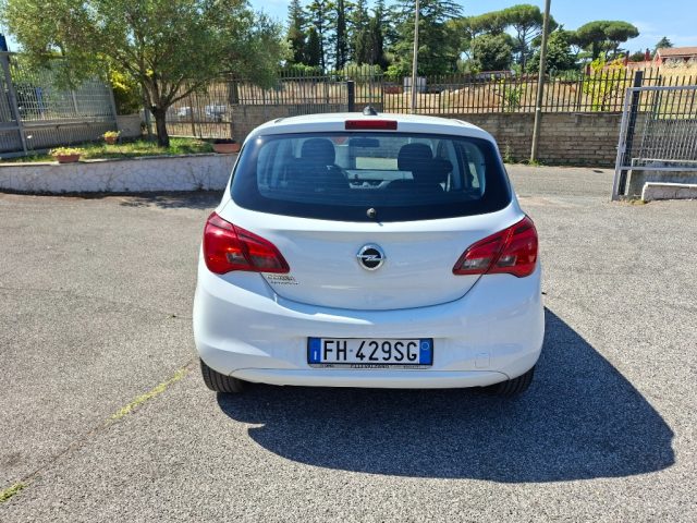 OPEL Corsa usata 4