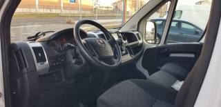 FIAT  usata 11