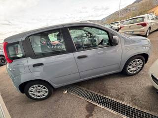 FIAT Panda usata, con Chiusura centralizzata