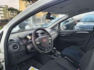 FIAT Punto usata, con Controllo automatico clima