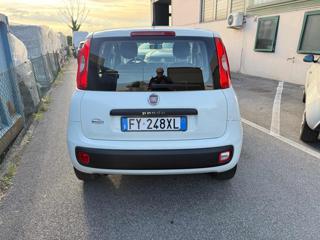 FIAT Panda usata, con Climatizzatore