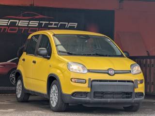 FIAT Panda usata, con Airbag Passeggero