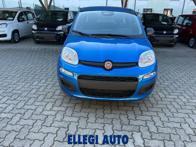FIAT Panda usata, con Airbag Passeggero