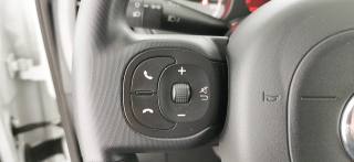 FIAT Panda usata 69