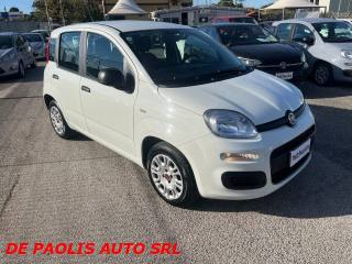 FIAT New Panda usata, con Antifurto