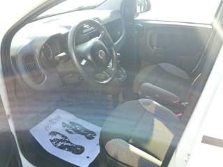 FIAT Panda usata, con Climatizzatore