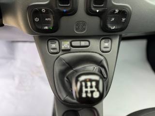 FIAT Panda usata 20