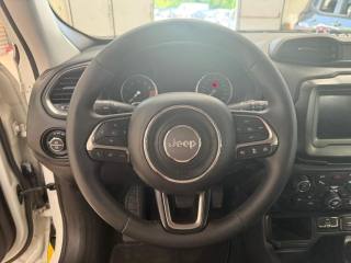 JEEP Renegade usata, con Cruise Control