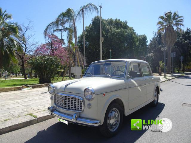 FIAT 1100 usata 0