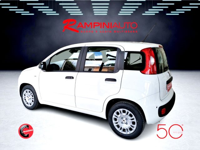 FIAT Panda usata 7