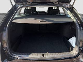 SKODA Octavia usata 13