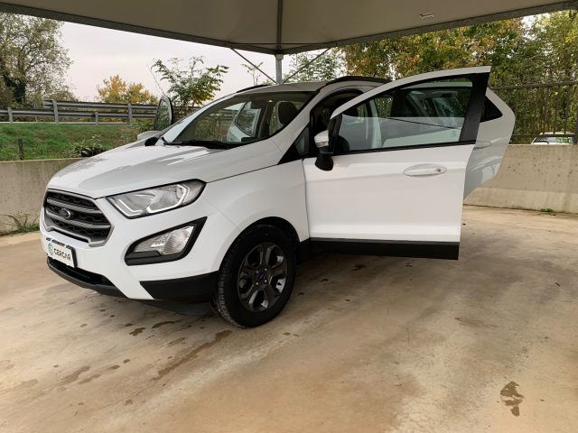 FORD EcoSport usata, con Fendinebbia