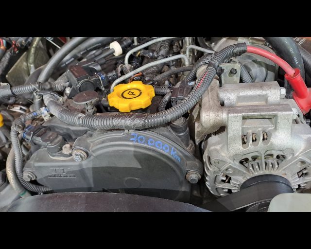 JEEP Wrangler usata 36