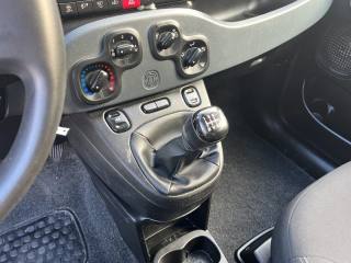 FIAT Panda usata 12