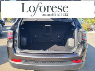 JEEP Compass usata, con Fendinebbia