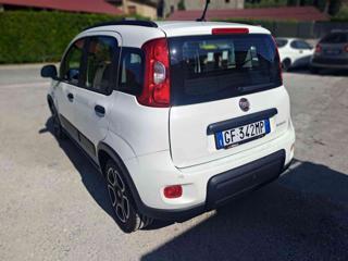 FIAT Panda usata, con Climatizzatore