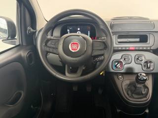 FIAT Pandina usata 6