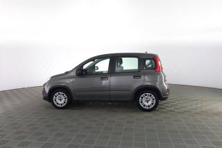 FIAT Panda usata 5
