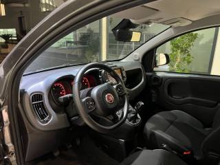 FIAT Panda usata, con Volante multifunzione