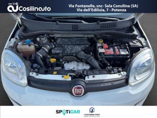 FIAT Panda usata, con Volante multifunzione