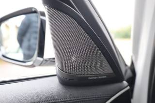 BMW 530 usata 100