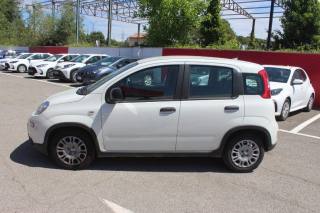 FIAT Panda usata, con Airbag Passeggero