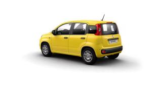 FIAT Panda usata, con Airbag Passeggero