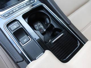 JAGUAR F-Pace usata, con Leve al volante