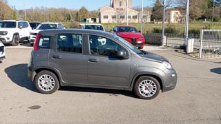FIAT Panda usata, con Alzacristalli elettrici