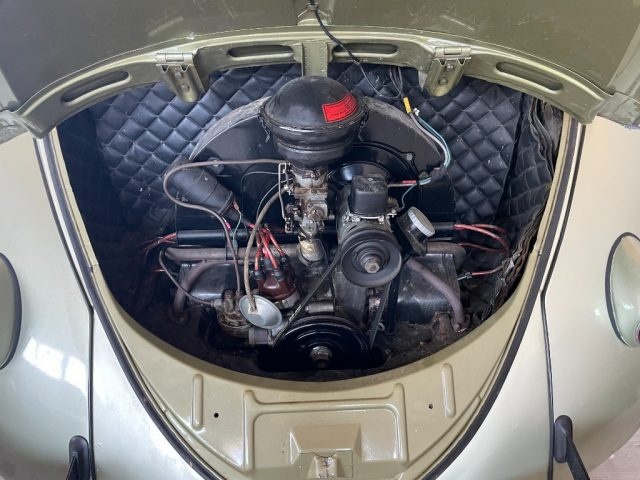 VOLKSWAGEN Maggiolino usata 3