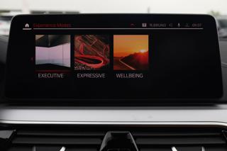 BMW 520 usata, con Volante multifunzione