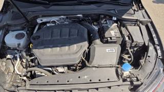 VOLKSWAGEN Golf usata, con Frenata d
