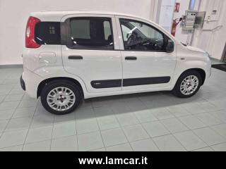 FIAT Panda usata 12