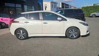 NISSAN Leaf usata, con Airbag laterali