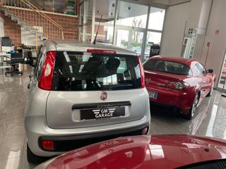 FIAT Panda usata, con Controllo trazione