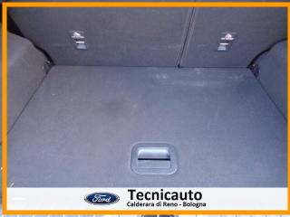 FORD Puma usata, con Cruise Control