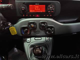 FIAT Panda usata, con Immobilizzatore elettronico