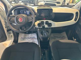 FIAT Panda usata 16