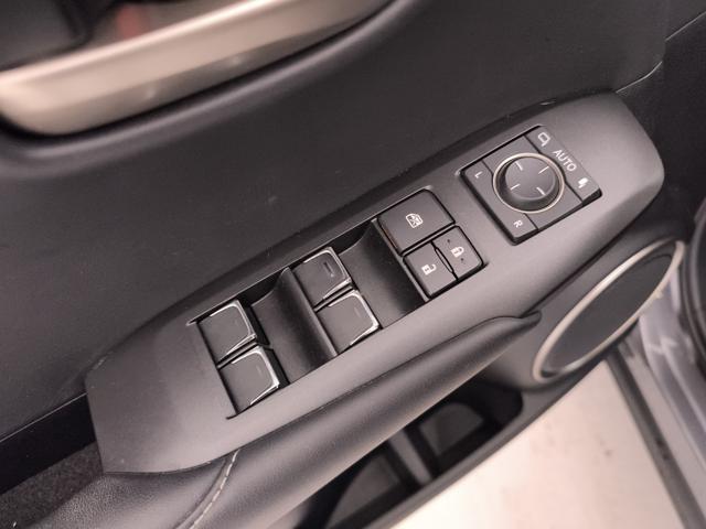 LEXUS NX 300h usata, con Sedile posteriore sdoppiato