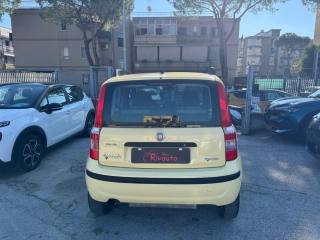 FIAT Panda usata, con Airbag Passeggero