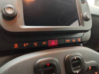 FIAT Panda Cross usata, con Controllo vocale