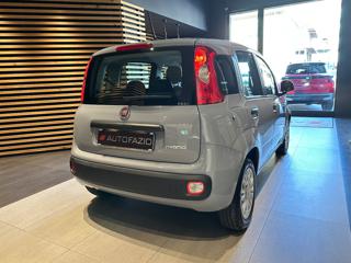 FIAT Panda usata, con USB