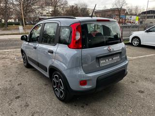 FIAT Panda usata, con Airbag Passeggero