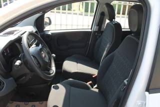 FIAT Panda usata, con Cruise Control